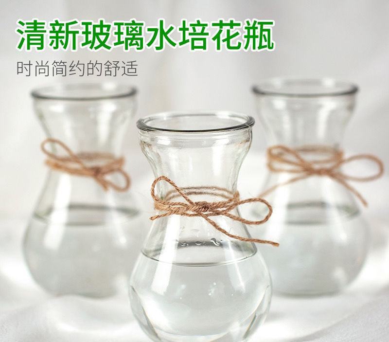 懒人盆风信子水培植物花瓶创意水培容器透明玻璃瓶花盆瓶