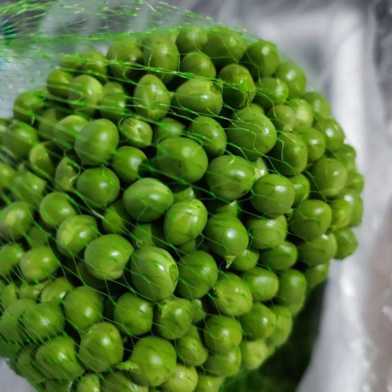 长寿仁豌豆米。豆米粒。豌豆米。米豆。剥米豆