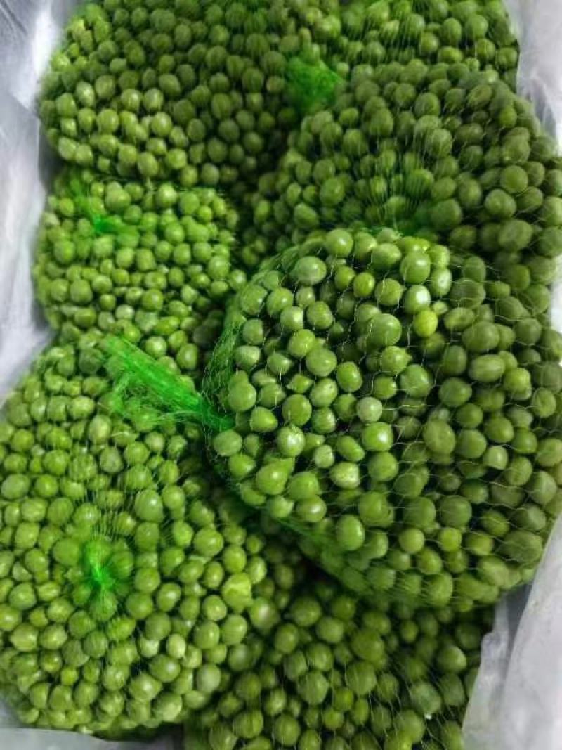 长寿仁豌豆米。豆米粒。豌豆米。米豆。剥米豆