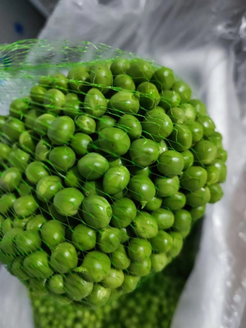 长寿仁豌豆米。豆米粒。豌豆米。米豆。剥米豆