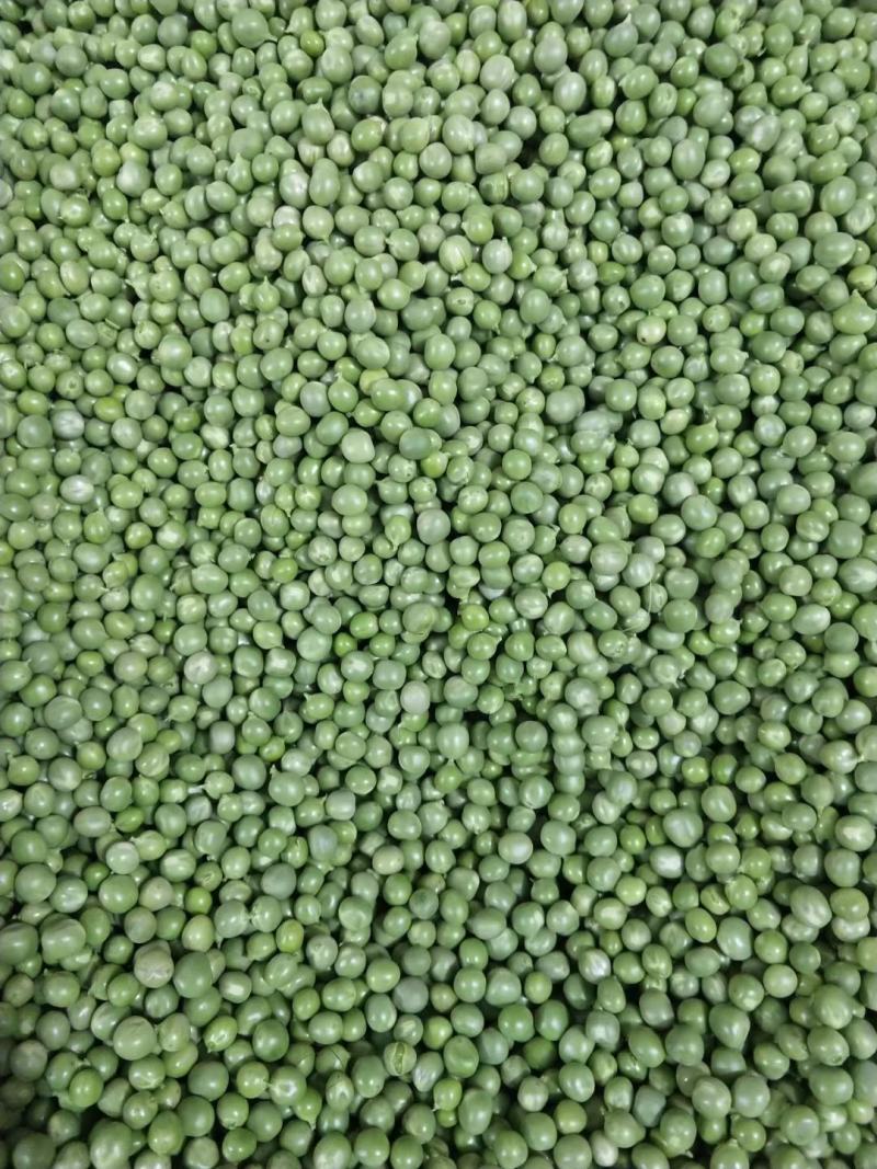 长寿仁豌豆米。豆米粒。豌豆米。米豆。剥米豆