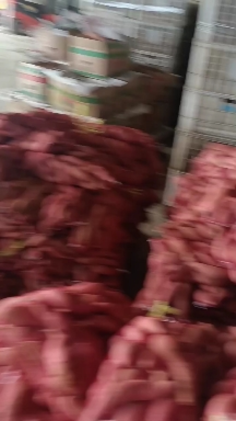 烟薯25