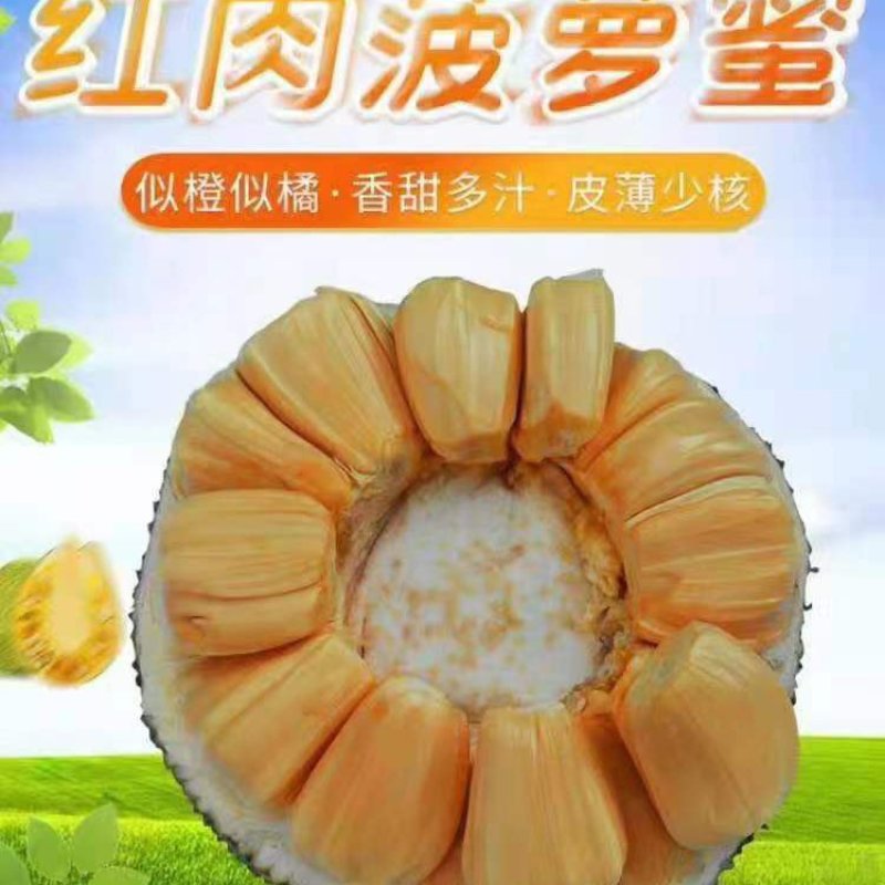 越南红肉菠萝蜜