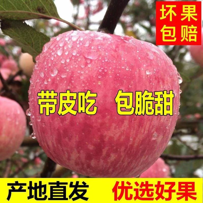 （热卖中)沂蒙红富士苹果库存红富士80以上货源充足
