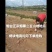 申周薯业专业种植烟薯二五和仓储批发欢迎新老客户前来采购