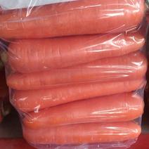 优选水洗胡萝卜大量供应可视频看货保证质量一手货源