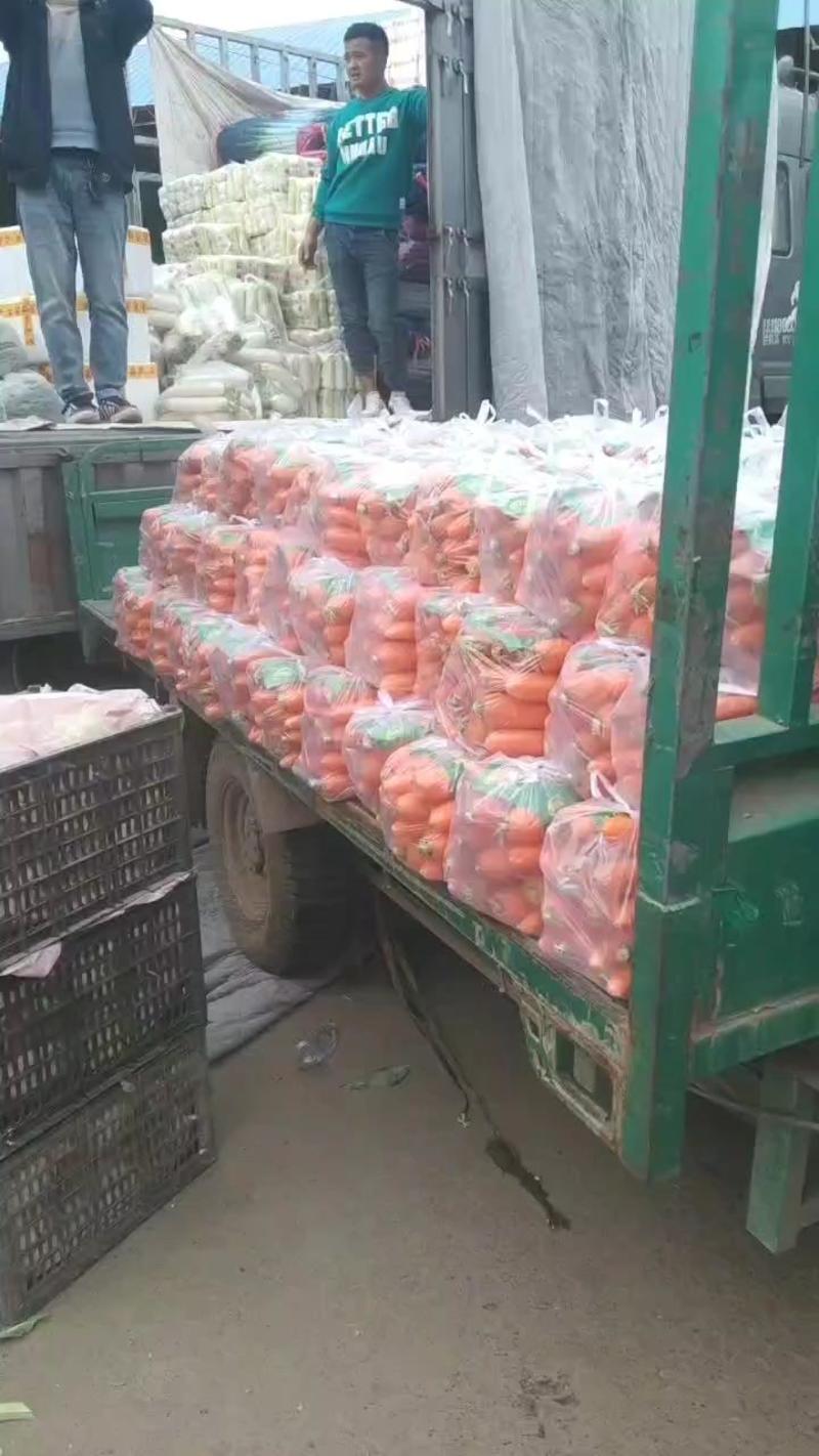 优选水洗胡萝卜大量供应可视频看货保证质量一手货源