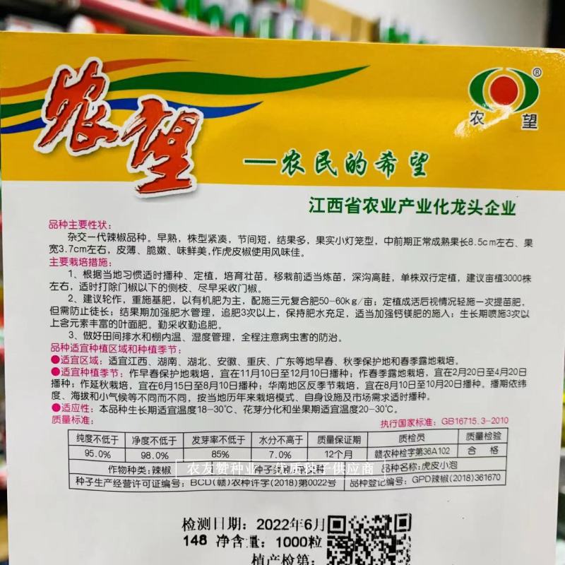 杂交一代虎皮椒种子农望虎皮小泡椒种子小灯笼型皮薄脆嫩