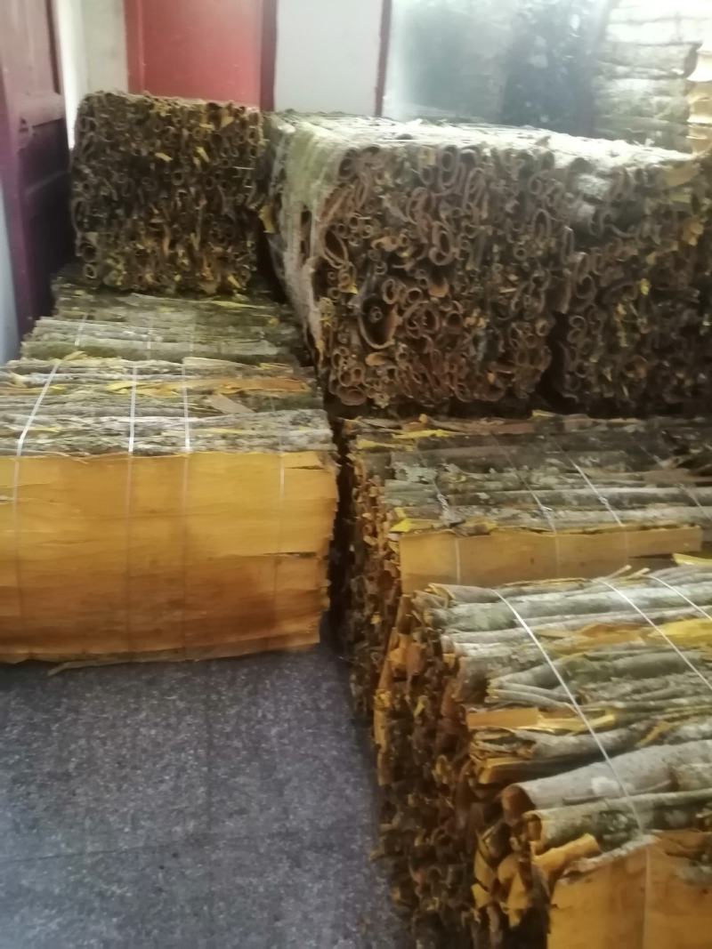 黄柏20吨恩施黄柏鄂西大山深处原生态老黄柏