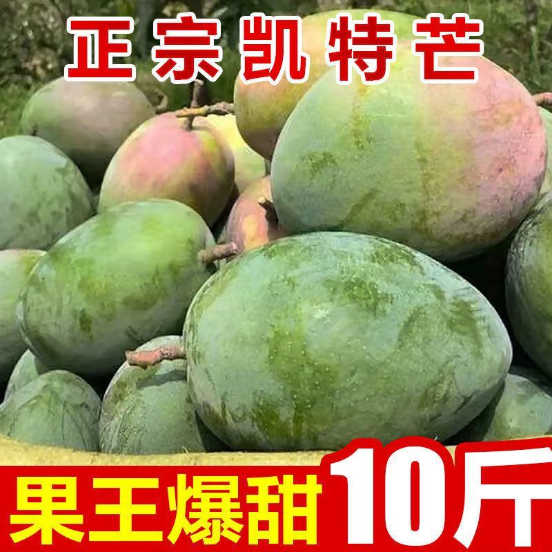 【包邮包赔】攀枝花凯特大芒果，一件代发！