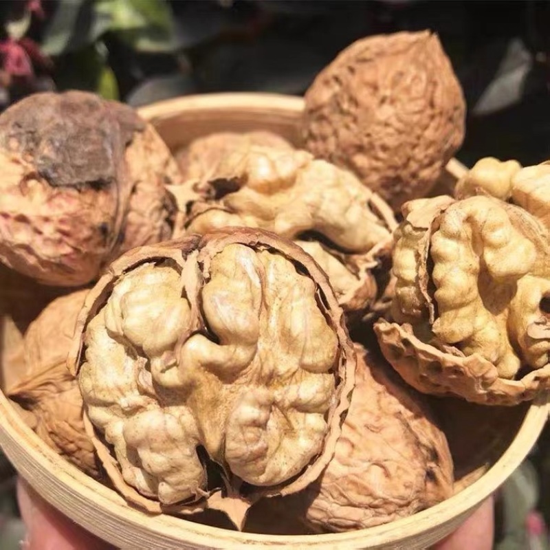 云南新干货纸皮薄皮核桃，支持一件代发，支持整车发货