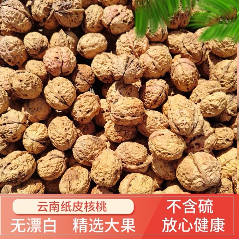 云南新干货纸皮薄皮核桃，支持一件代发，支持整车发货