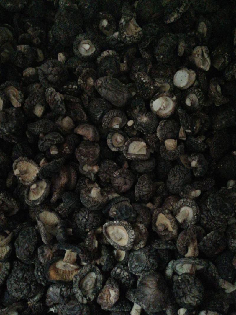 纯自然生长不是人工干预，菇形圆香味浓黑面菇
