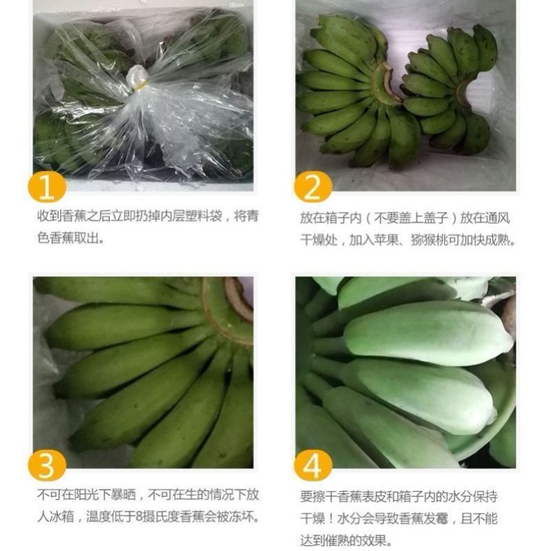 一件代发，广西小米蕉好货，一级货包邮，现摘现发，包售后