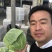 包菜扁包菜平包奥琪娜京丰一号超市电商批发