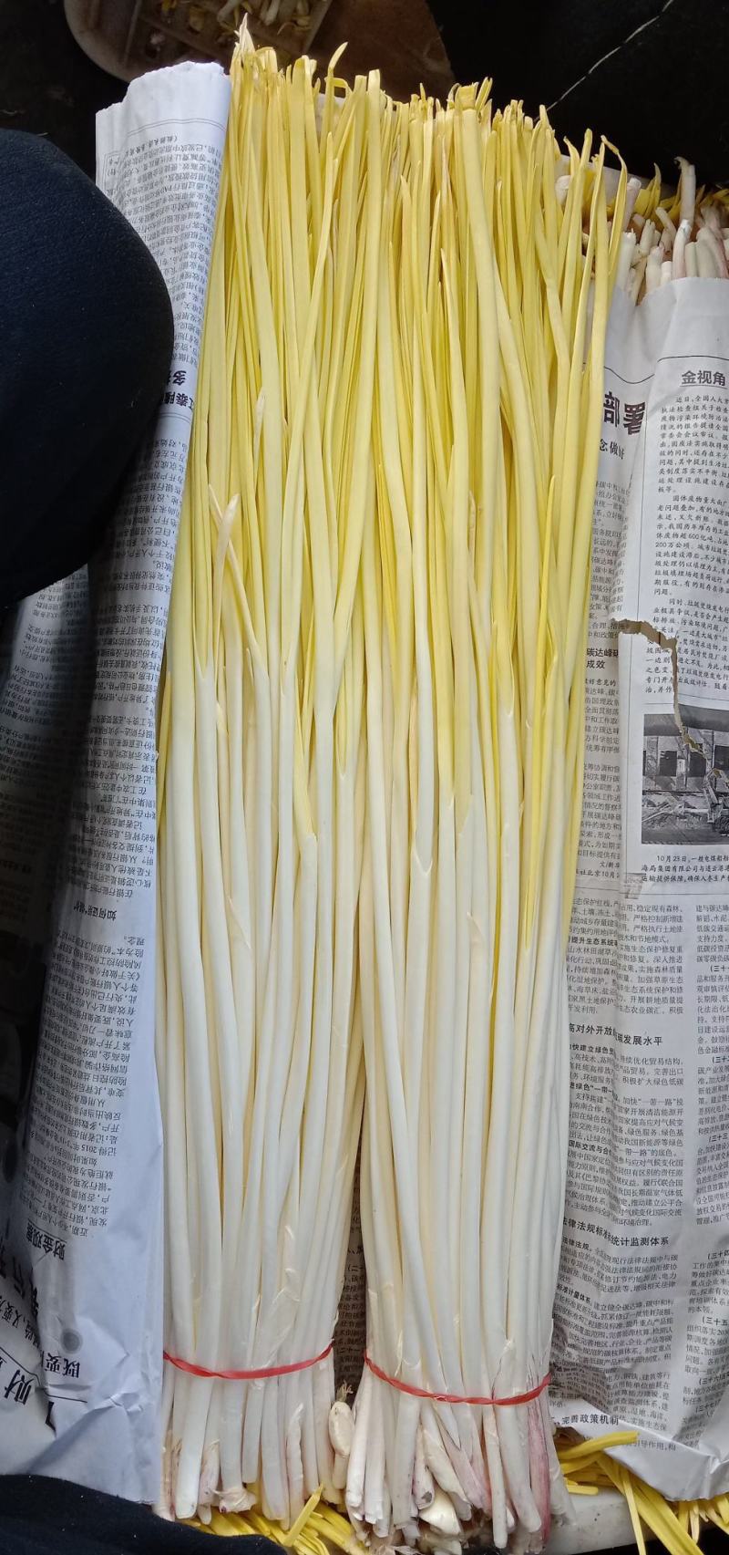 蒜黄
