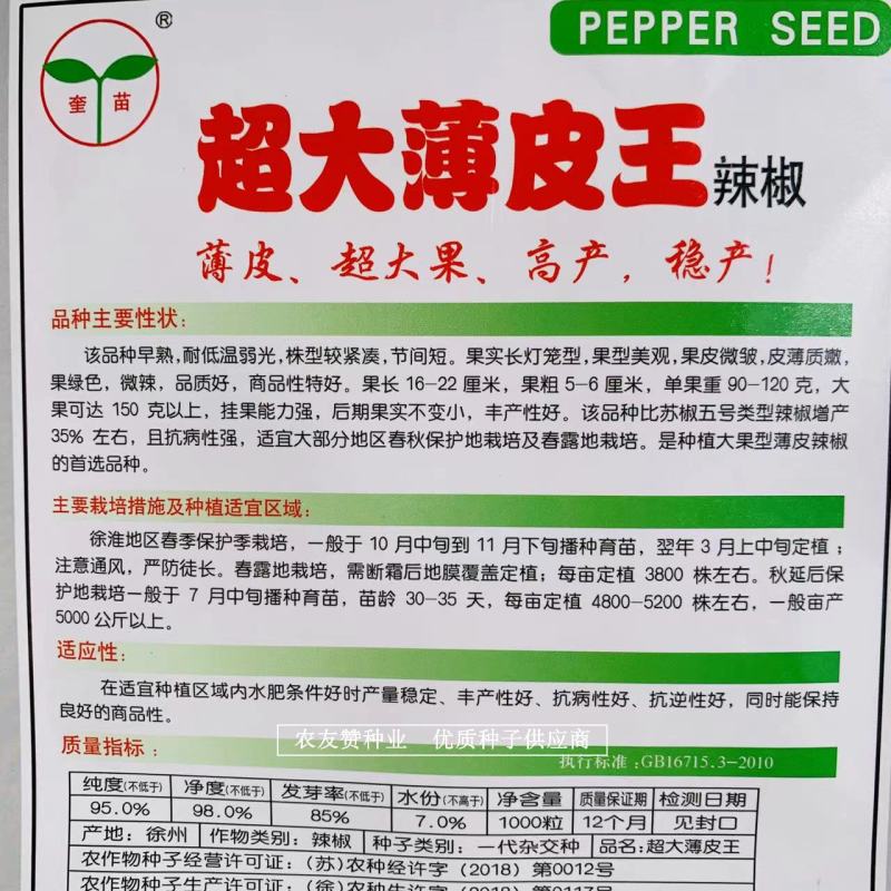 超大薄皮王辣椒种子大果高产微辣，早熟长灯笼型薄皮椒种子