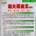 超大薄皮王辣椒种子大果高产微辣，早熟长灯笼型薄皮椒种子