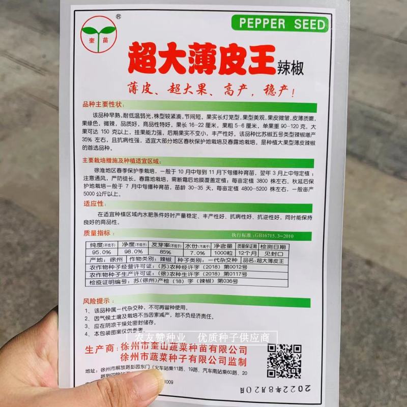 超大薄皮王辣椒种子大果高产微辣，早熟长灯笼型薄皮椒种子