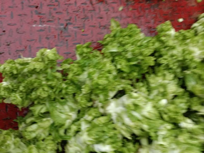 基地货
