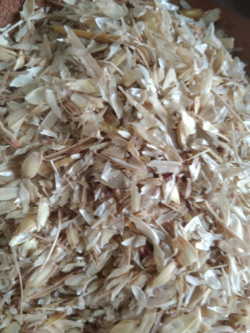 小麦糠