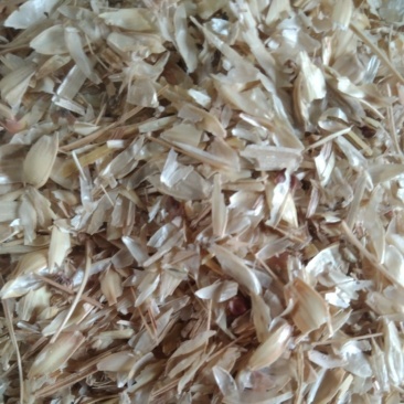 小麦糠