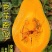 精品香芋南瓜老南瓜供应电商超市市场养殖南瓜