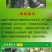 樱桃苗美国大红黄蜜红南阳辉煌黄果樱桃树苗基地直发现挖现卖