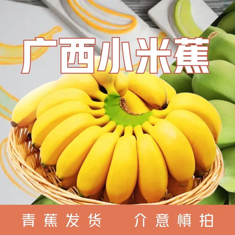 广西小米蕉拇指蕉糯米蕉小香蕉新鲜香蕉小芭蕉整箱包邮