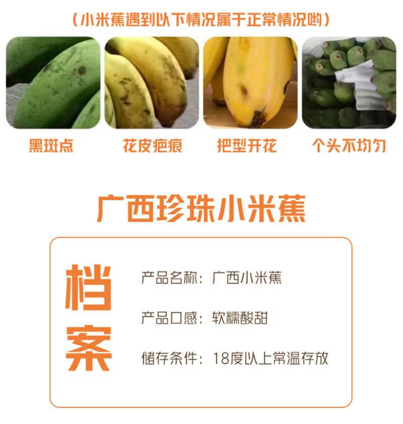 广西小米蕉拇指蕉糯米蕉小香蕉新鲜香蕉小芭蕉整箱包邮