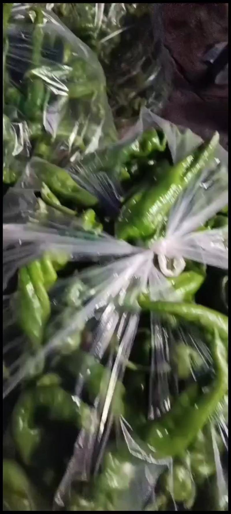新鲜辣椒品种有螺丝椒薄皮椒黄皮尖椒