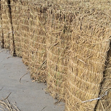 山东济宁各种蔬菜棚冬季保温稻草帘