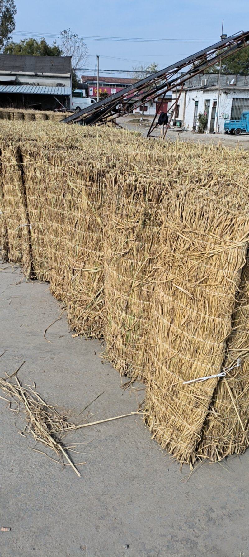 山东济宁各种蔬菜棚冬季保温稻草帘