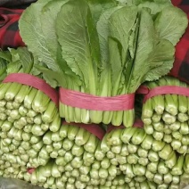 【推荐】河北小白菜一手货源供应市场商超电商量大价优