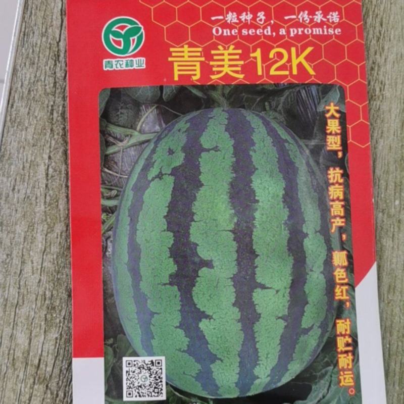 青美12K，大果型甜王抗病高产，瓤色大红