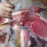 云南宣威火腿肉一斤一包腊肉风味真空包装跑江湖地摊展销会货