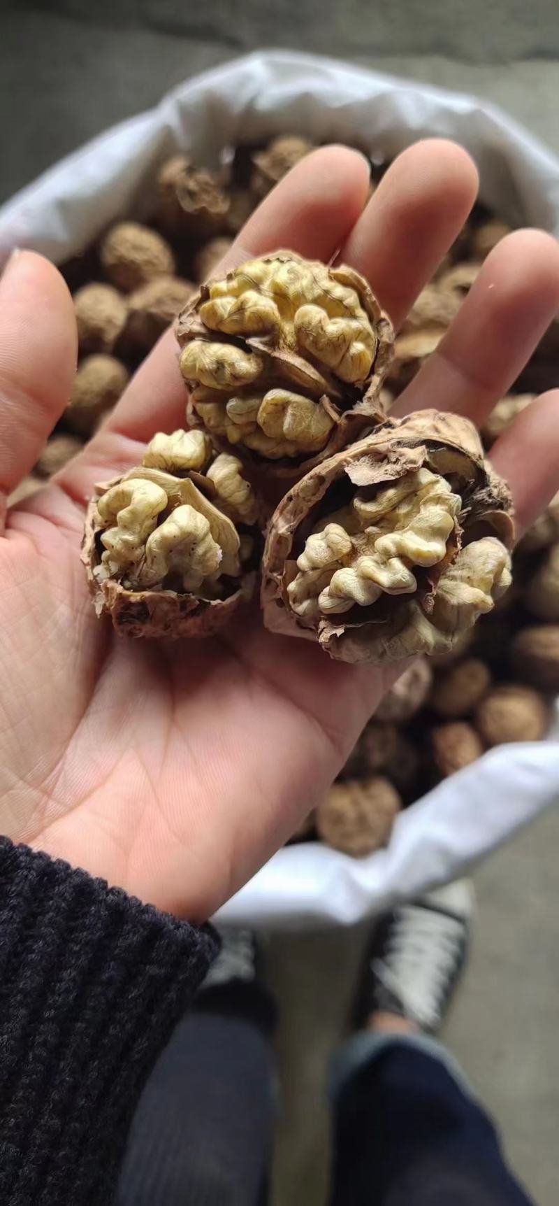 云南麻子核桃批发散装干果薄皮核桃皮薄肉满干熟核桃