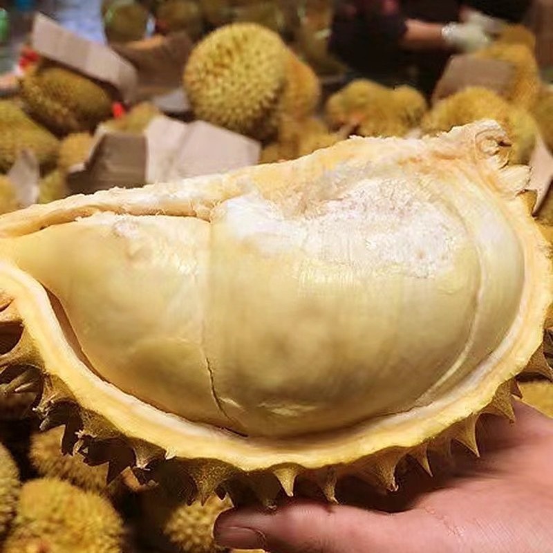 当天发快递新鲜榴莲水果批发，新鲜的榴莲，