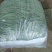 偏豆无筋豆白豆紫豆