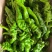 【推荐】大量螺丝椒上市精品货价格合适货源稳定产地直发