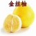 新品种金丝柚子苗冰糖柚蜜柚树苗嫁接柚子树苗甜蜜柚树苗