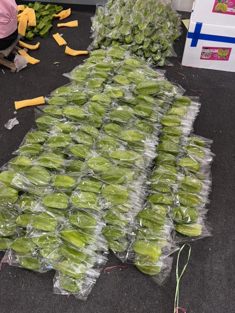 【当季热卖】杨桃批发，精品果，产量充足，支持一件代发