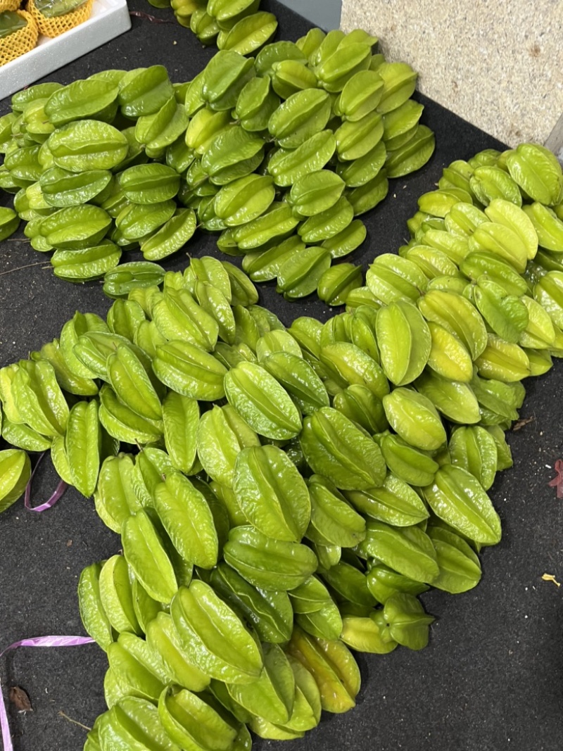 【当季热卖】杨桃批发，精品果，产量充足，支持一件代发