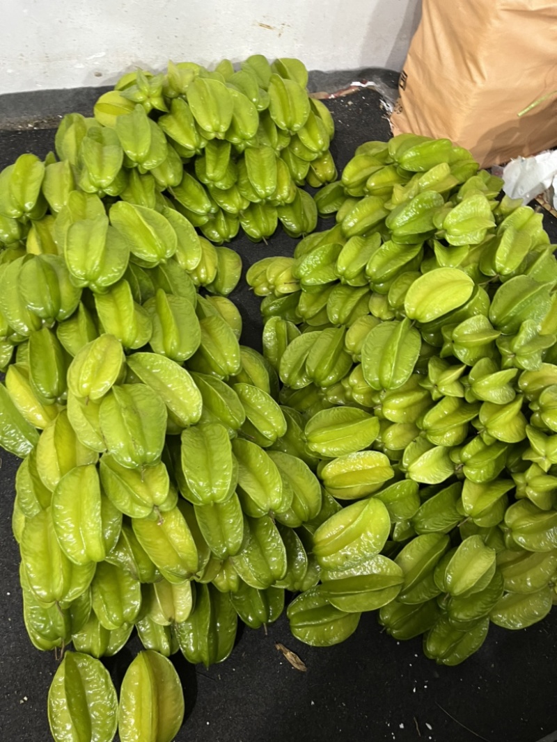 【当季热卖】杨桃批发，精品果，产量充足，支持一件代发