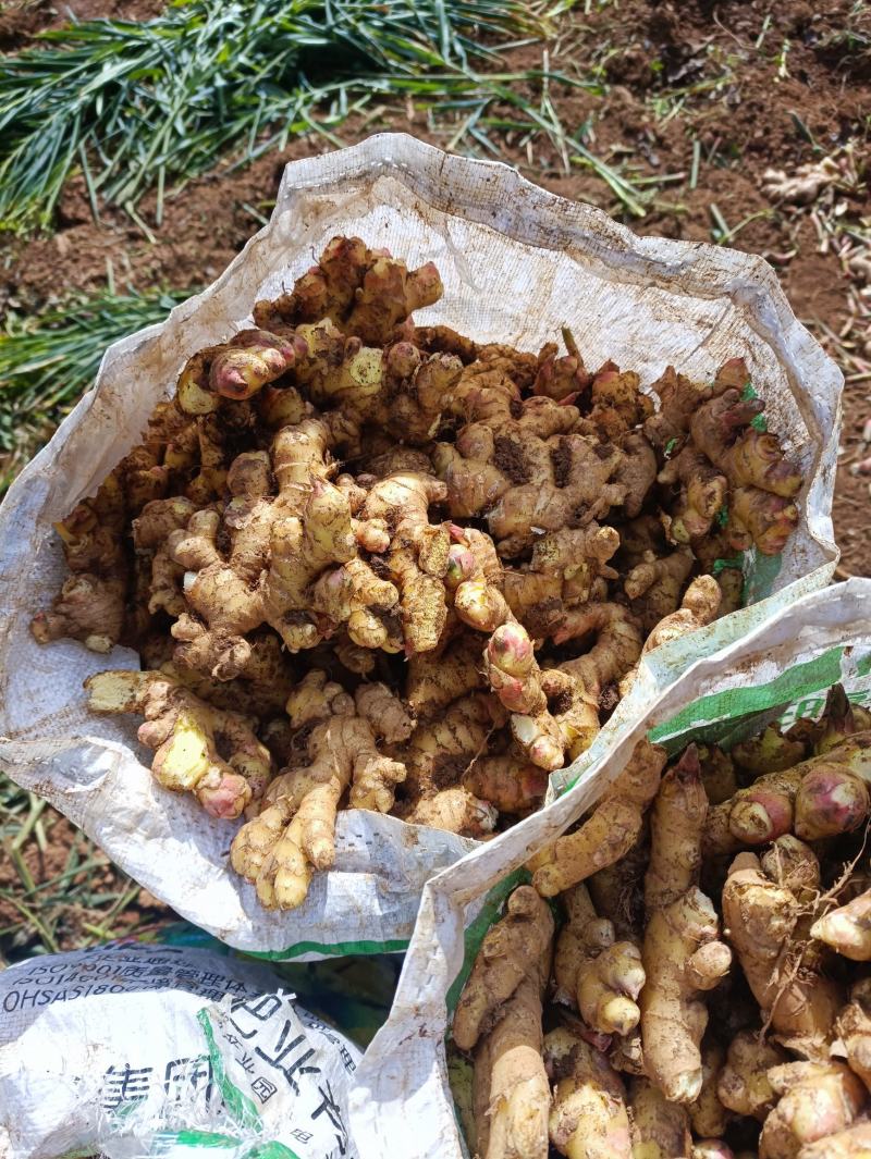 量大联系