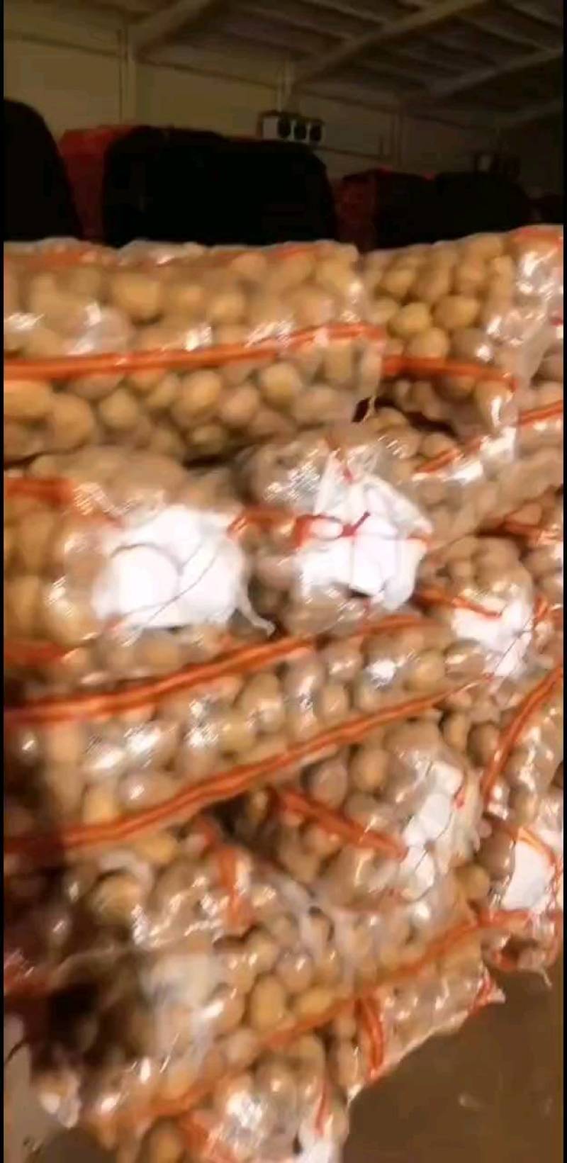 土豆种子公司销售部，北京种子公司，品种多品质好，需要的亲