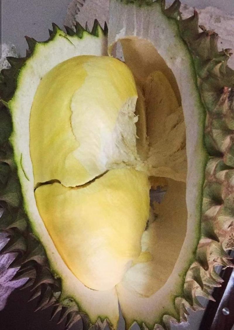 榴莲一手货源，各类品水果，欢迎衔接各大商超，自媒体