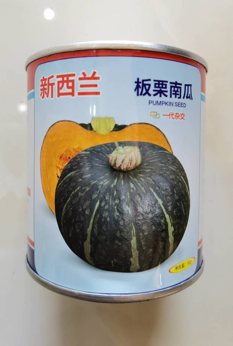 新西兰板栗南瓜种子进口引进大贝贝板栗粉糯香甜南瓜种子