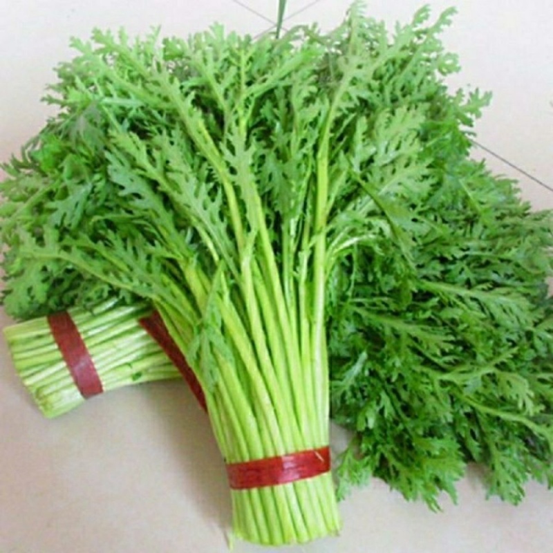 【视频拿茼蒿】小叶茼蒿江苏淮安茼蒿基地直供市场商超电联优惠