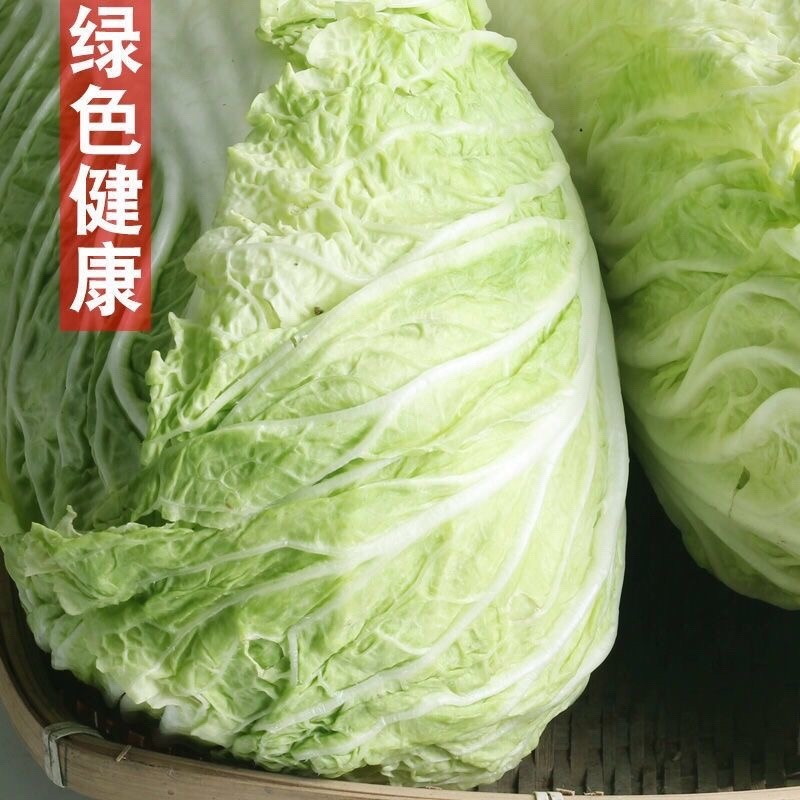 《精品》河北邯郸黄心白菜，大量有货，质优价廉，需要的联系
